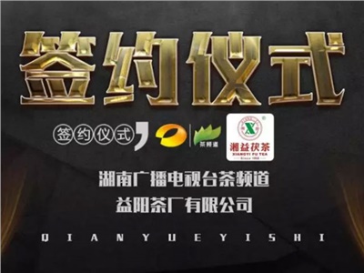 湘益茯，美茗揚(yáng) 丨湘益茯茶與茶頻道達(dá)成長(zhǎng)期戰(zhàn)略合作